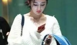 狗仔私家爆料视频大全,明星幕后生活大曝光